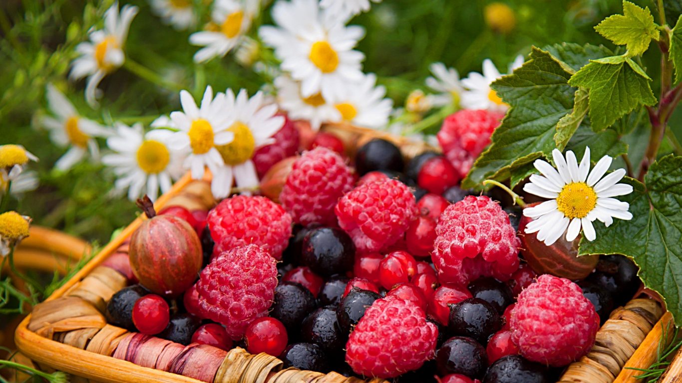 Basket Berries Flowers Grass Summer Camomile Raspberries Nature Freshness Beautiful Lovely Daisies Pretty Yummy Garden Desktop Photo