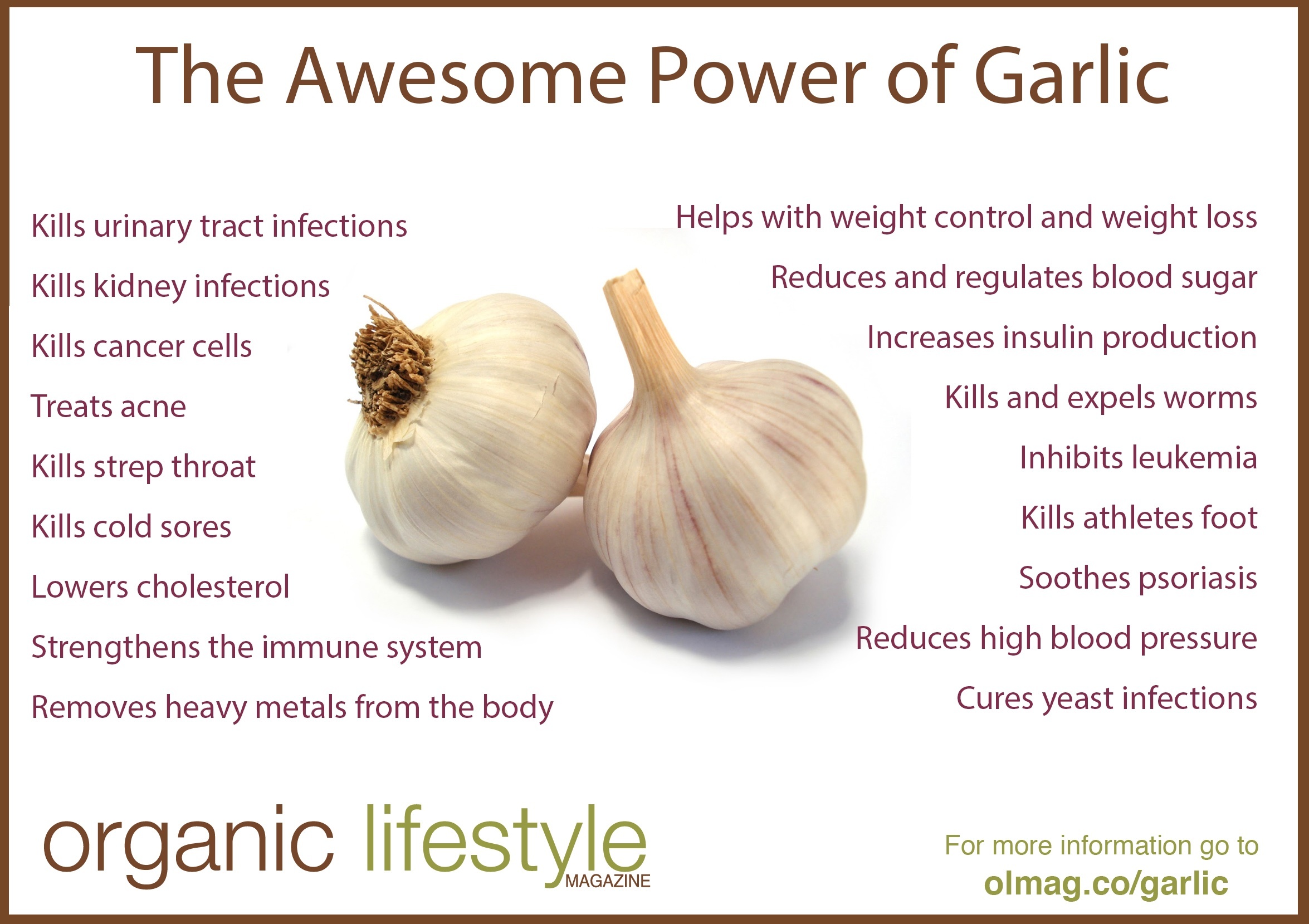 garlic-infographic