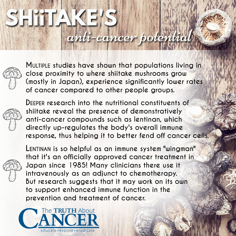 shiitake-mushroom-anti-cancer-benefit